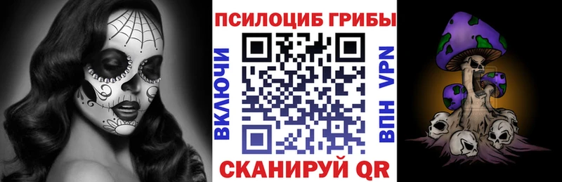 как найти закладки  Павлово  мега вход  Галлюциногенные грибы MAGIC MUSHROOMS 